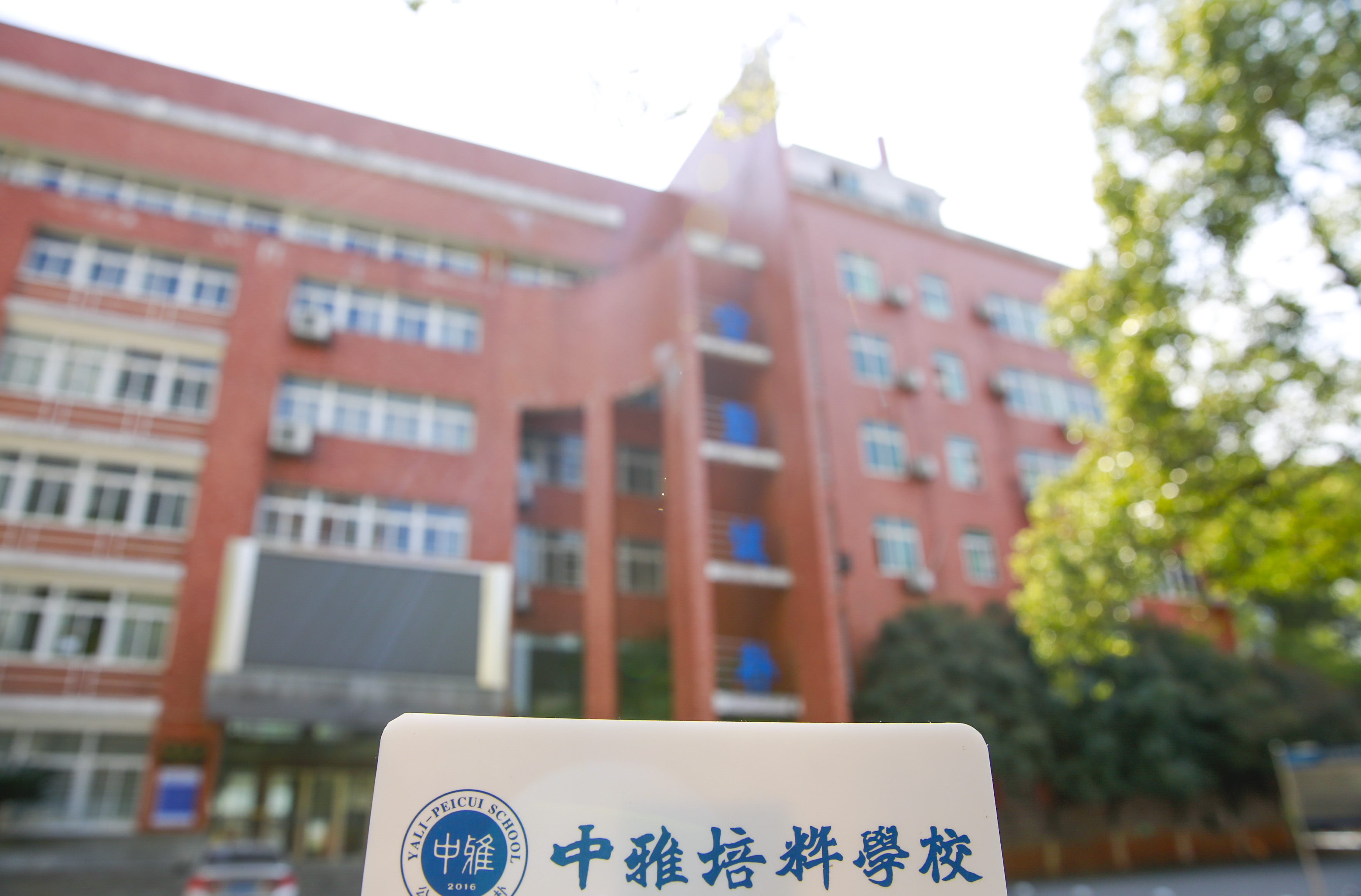 迈进新纪元，礼赞新时代——2019年度学生获奖总结  ?